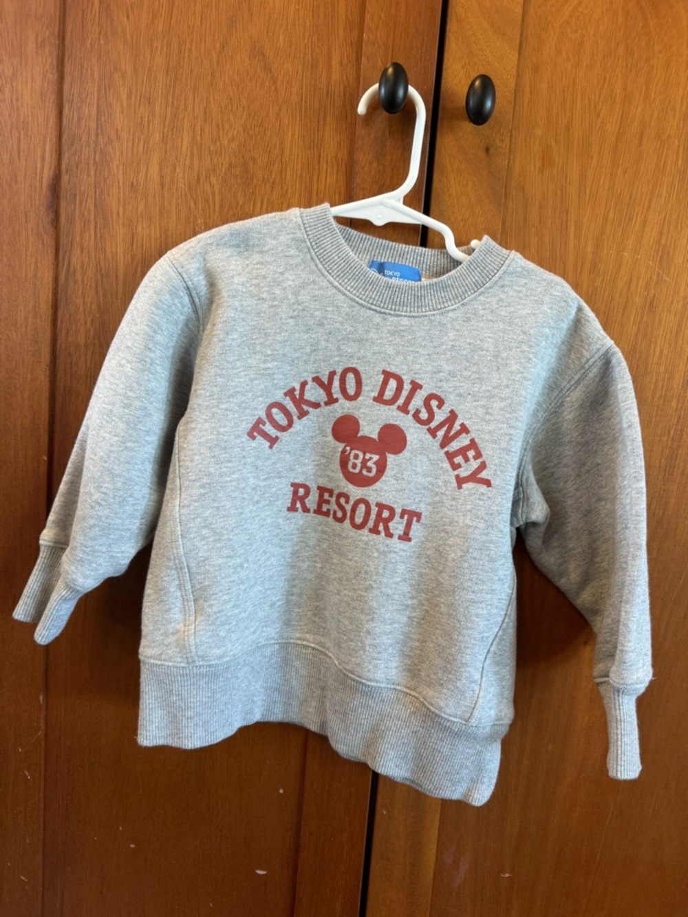 Disney Gray Kids Sweatshirt with Red Tokyo Disney Resort Logo